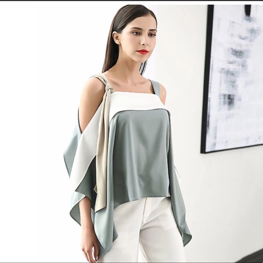 Color Blocked Silky Designer Top